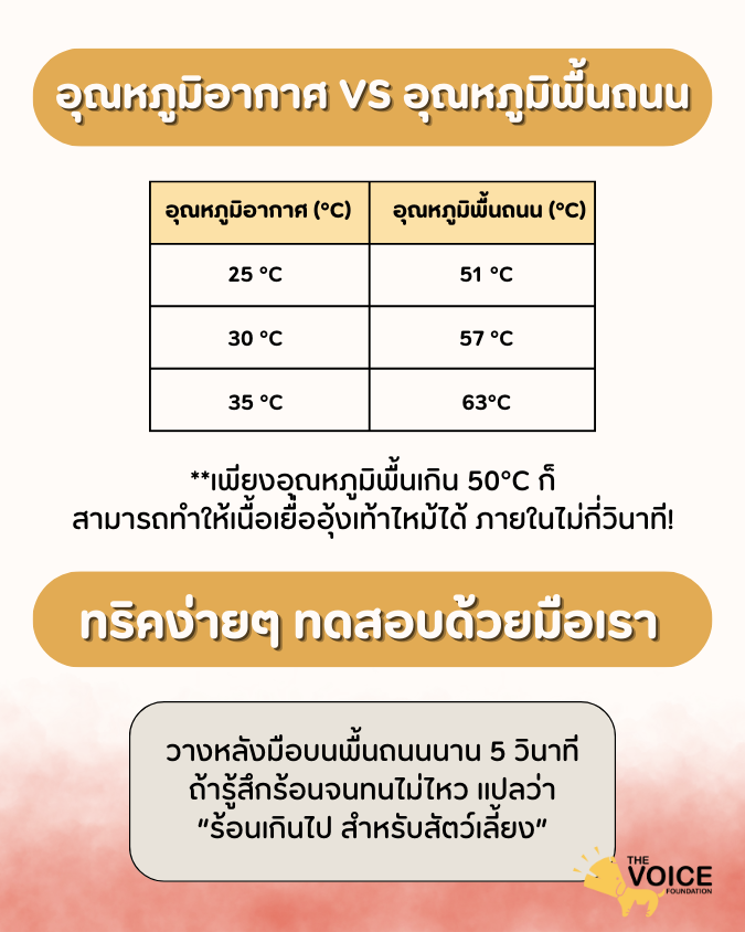 พื้นร้อนขนาดนี้.png (142 KB)