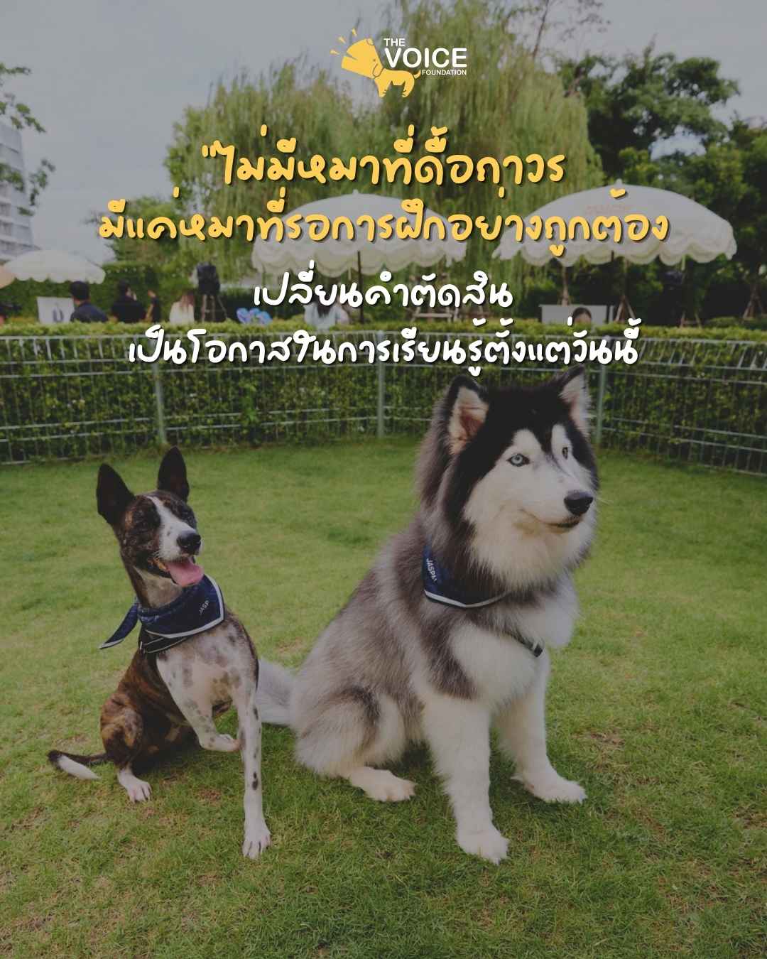 6.jpg (130 KB)